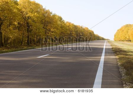 Route de la beauté
