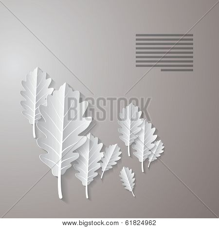 Oak Paper Leaves Isolated on Grey Background