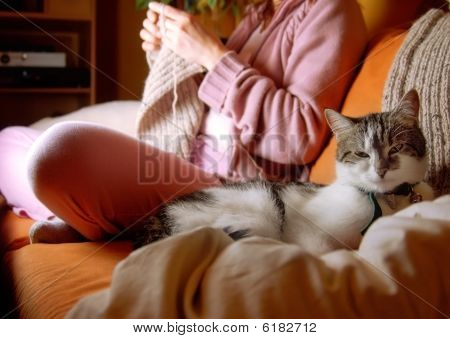 Idylic Scene in Living Room