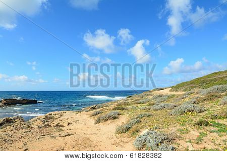 Yellow Rocks By The Shore