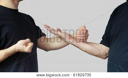Techniques of Wing Chun Kung Fu in the performance of athletes