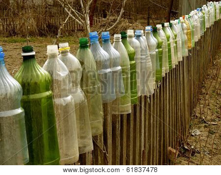 garden fence with plastic bottles which used to protect tomato seedlings from cold spring  weather as small hotbeds 