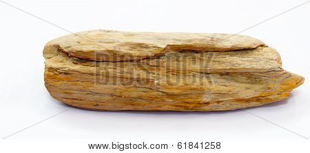 Petrified Wood