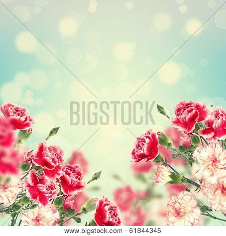 Postcard With Elegant  Flowers And Empty  Place For Your Text