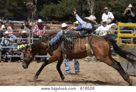 Bucking cavallo