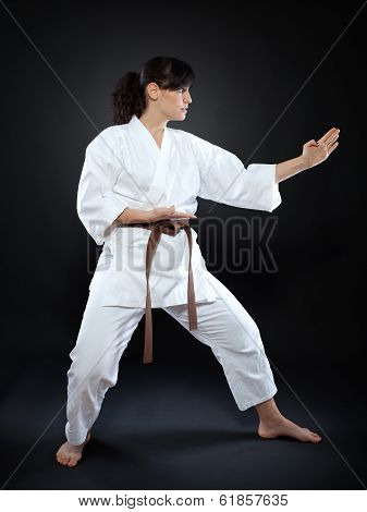 Karate Woman In Pose