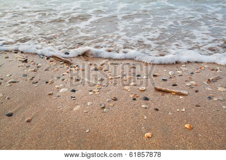 Sea Waves On Sand Beach With Mollisk Shells
