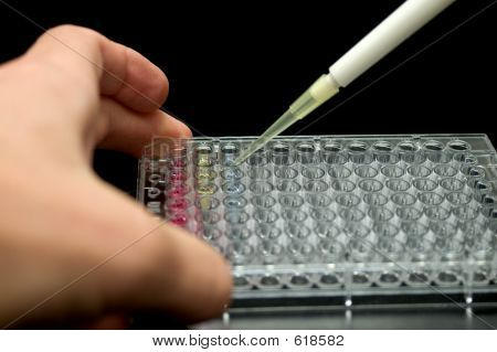 96 İyi plaka W pipet