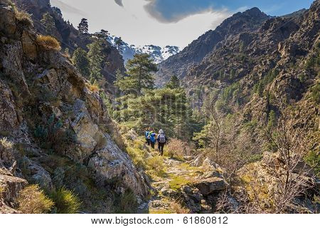 Hikers On Mountain Track In Asco Valley, Corsica