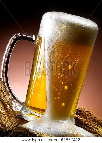Mug of beer