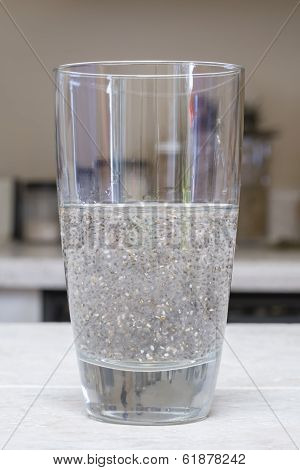 Chia Seed Beverage