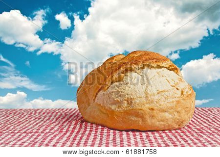 Delicious Bread Bun On Picnic Table