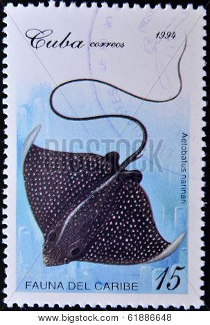 CUBA - CIRCA 1994: A stamp printed in Cuba shows a narinari Aetobatus