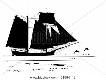 Dolphins And  Tall Ship