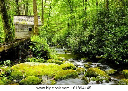 Great Smoky Mountain National Park