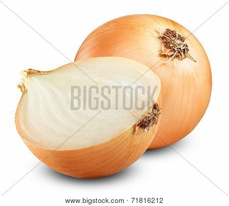 Onion Bulbs