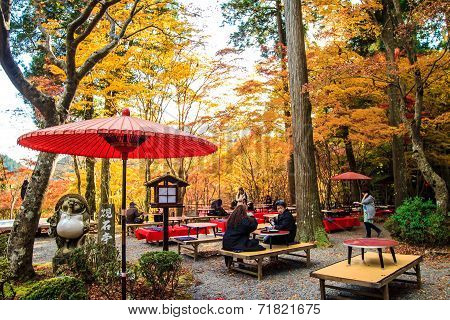 Jingo-ji is a Buddhist temple in Kyoto