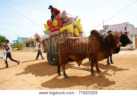 Wagon, Transport At Vietnam Countryside