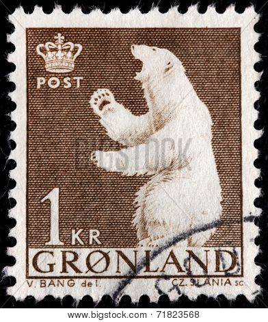 Polar Bear