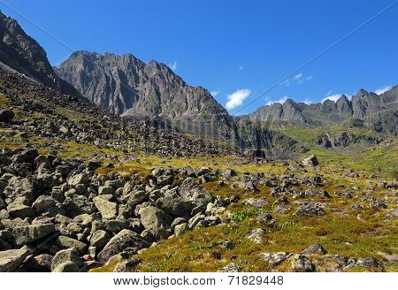 Mountain Tundra In July