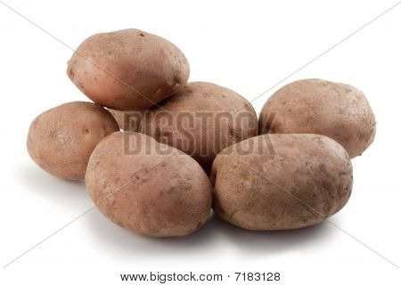 Burgonya