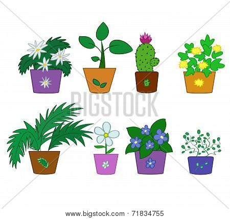 Cartoon flowers in pots