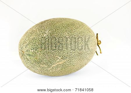 HamiGua Melon on white background