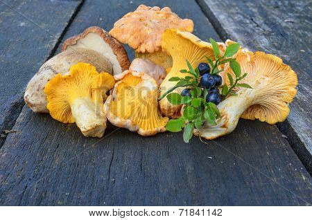 Blueberries And Wild Mushrooms