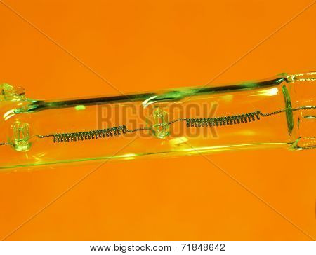 Halogen Bulb