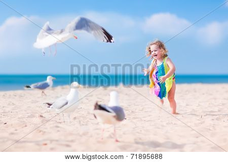 Little Girl Playing With Seagulls