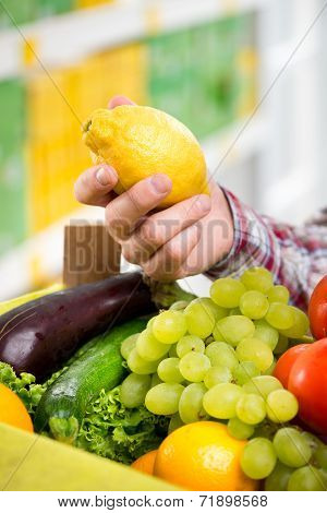 Farmer's Fresh Harvest