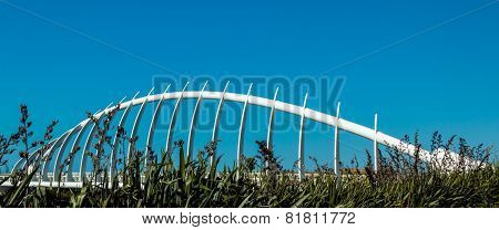 Te Rewa Rewa Bridge