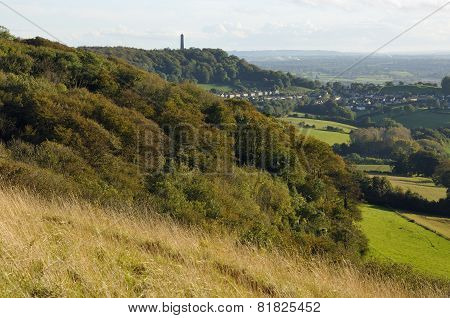 Dursley Woods And Tyndale Monument