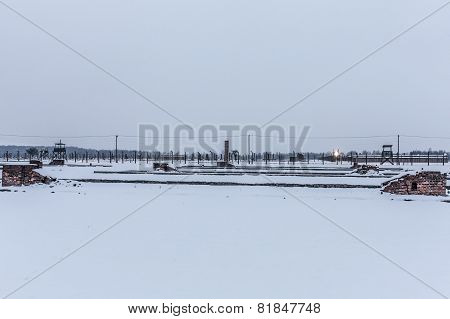 Ceremony Dedicated To 70Th Anniversary Of The Liberation Of Auschwitz-birkenau Concentration Camp