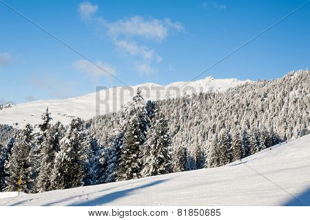 Zillertal Arena