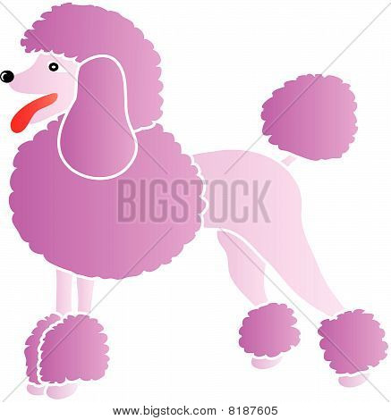 розовый Пудель