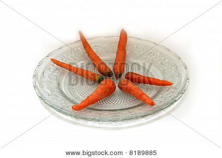 Carroty Star