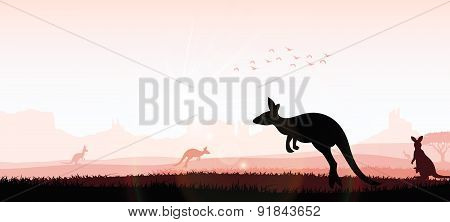 Silhouette a kangaroo