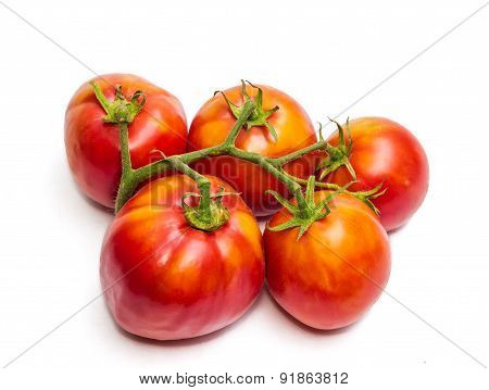 Bunche Of Tomatoes