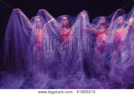 photo as art - a sensual and emotional dance of beautiful ballerina through the veil