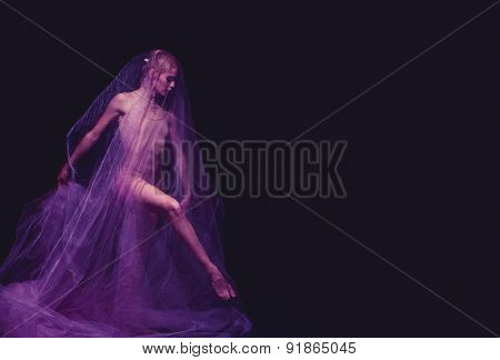 photo as art - a sensual and emotional dance of beautiful ballerina through the veil
