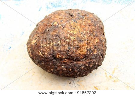 Elephant foot yam or whitespot giant arum or stink lily on a blurred background