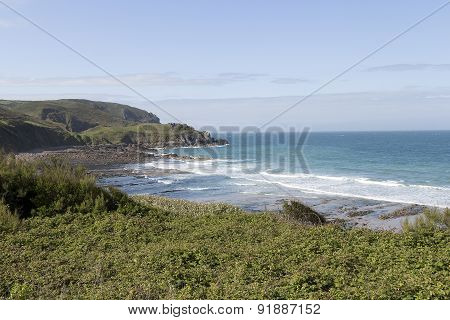 Waves in the bay