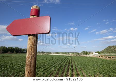 Signal On Agricultural Landscape