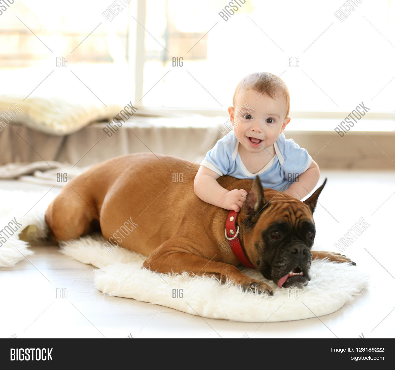 Little Baby Boy Boxer Image & Photo (Free Trial) Bigstock