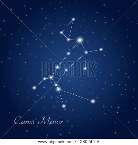 Canis Maior constellation at starry night sky