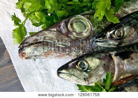 blue fish freshly caught great for a healthy diet ready to be cooked with parsley and lemon oil