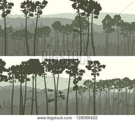 Set of horizontal abstract wide banners of hills coniferous pinewood in green tone.