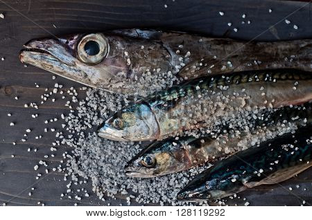 blue fish freshly caught great for a healthy diet ready to be cooked