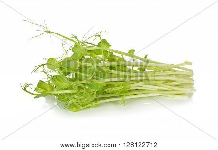 heap of snow pea sprouts or Toumyou sprouts on white background